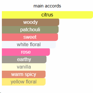 Coco Mademoiselle Chanel (original 1:1)