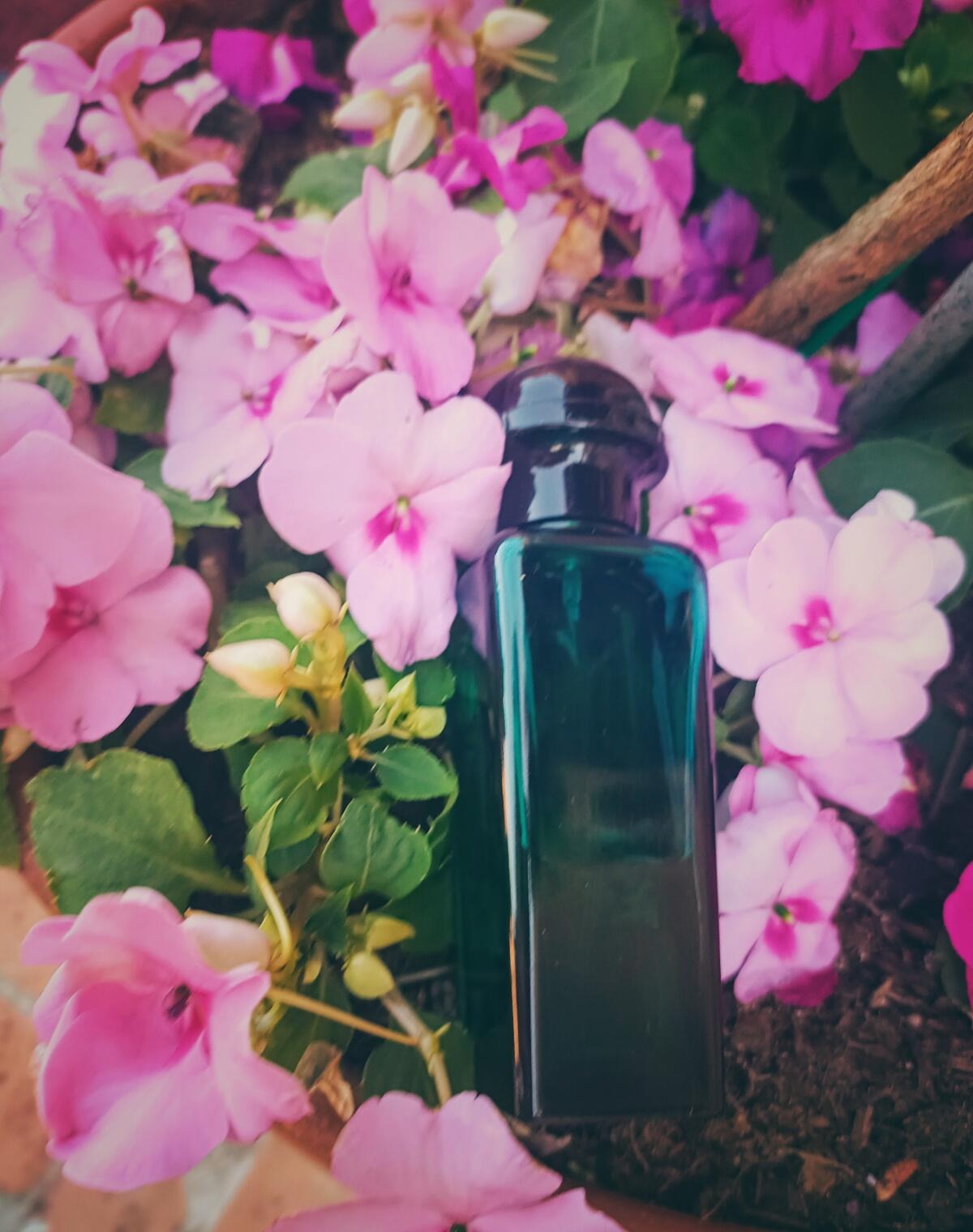 Eau d'Orange Verte
