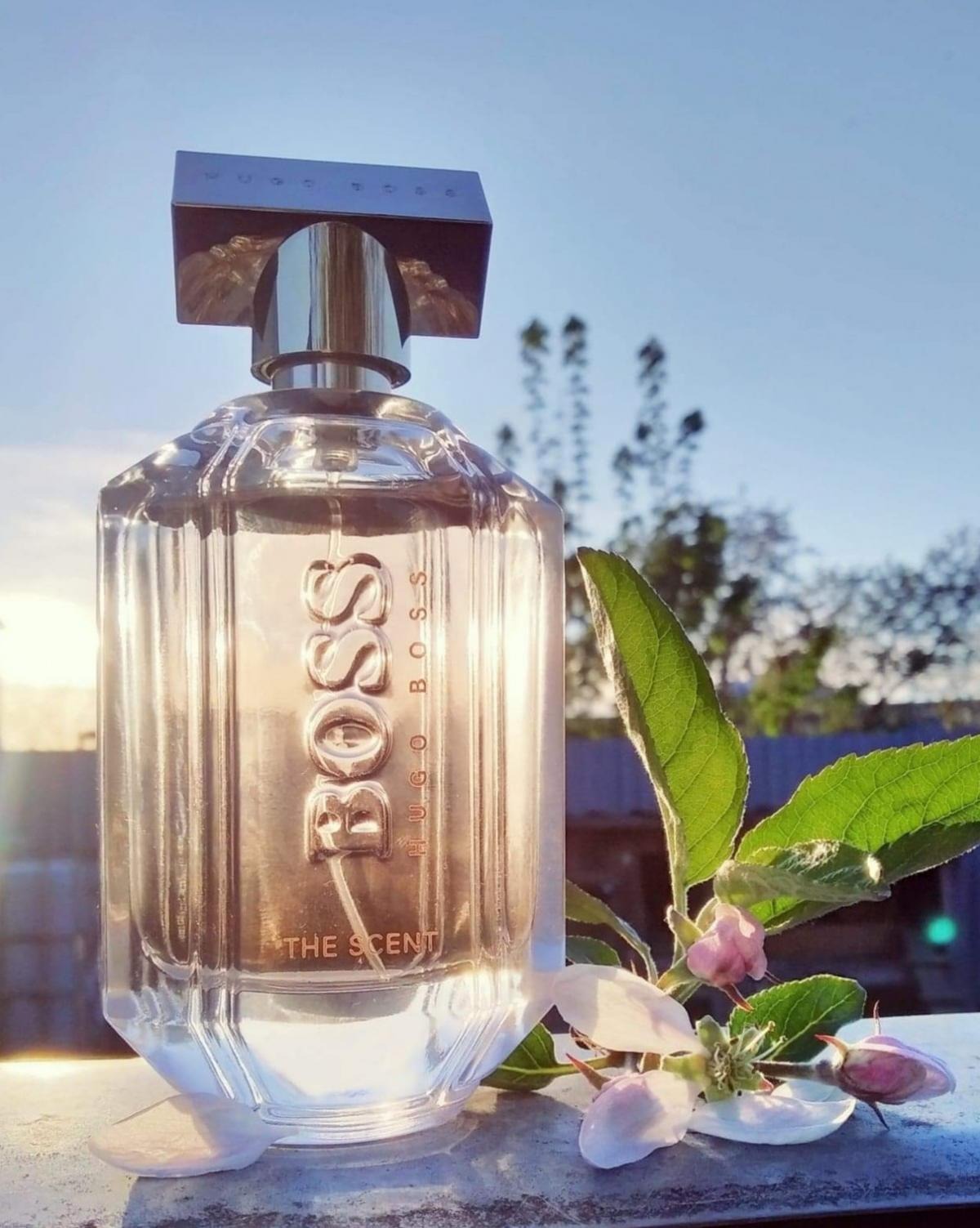 Boss The Scent For Her